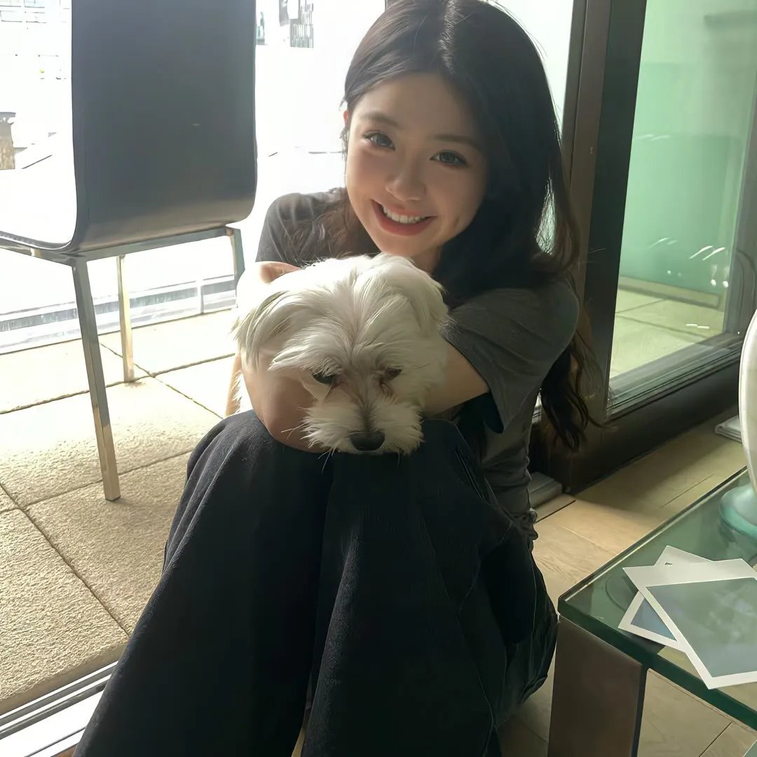 美感游击队