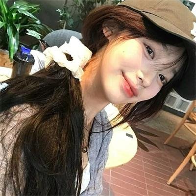 屋顶上的猫