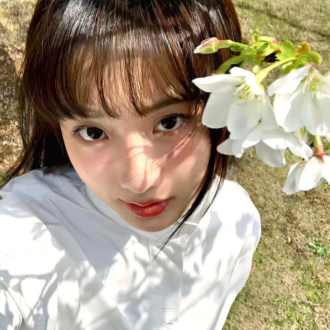 扶摇